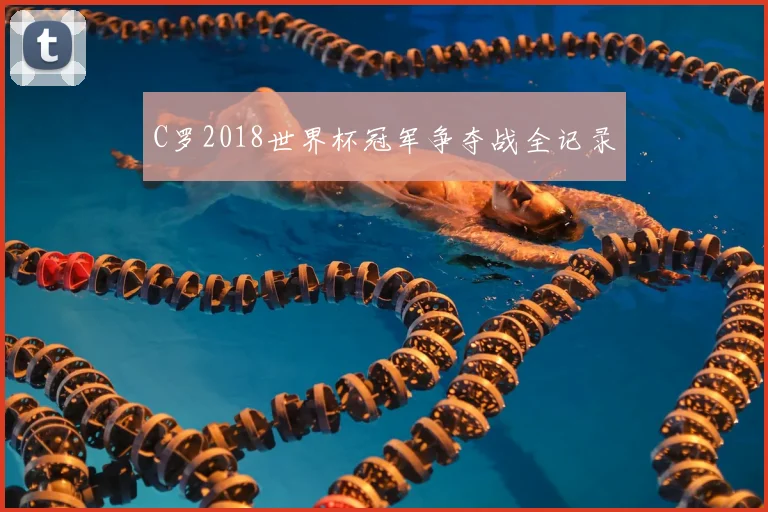 C罗2018世界杯冠军争夺战全记录