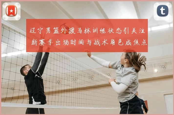 辽宁男篮外援马林训练状态引关注 新赛季出场时间与战术角色成焦点